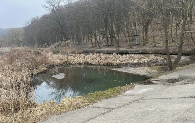 Вода змінила колір: на одному з озер Києва катастрофічна ситуація із кольором води (фото)