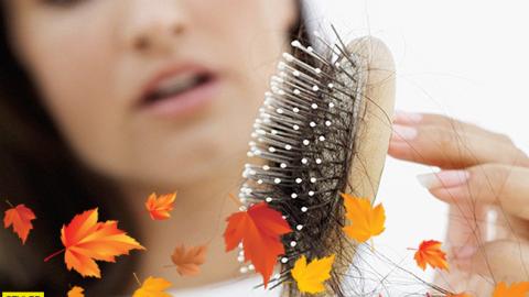 Как избежать выпадения волос осенью: рекомендации врача