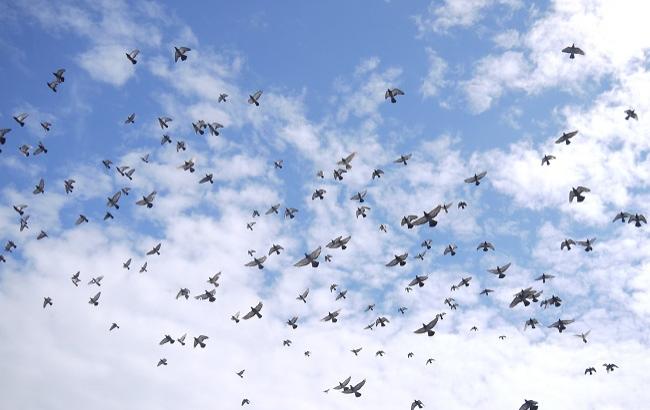 Благовещение 2018: что нельзя делать в этот день