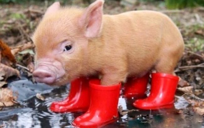 Погода на завтра: в Украине местами дожди, температура до +18