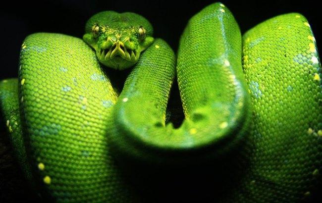 Гороскоп на сьогодні, 24 листопада