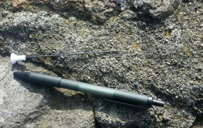 У Сан-Франциско двох пішоходів поранили стрілами з пневматичної зброї