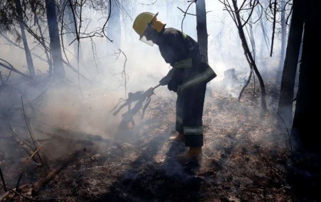 В Україні за добу сталося понад 500 пожеж в екосистемах
