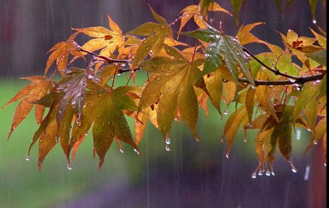 КМДА попереджає про посилення дощу у Києві до кінця дня