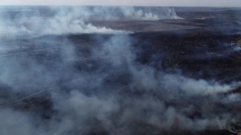 Как животные спасались от огненной стихии в Чернобыле: мощное видео