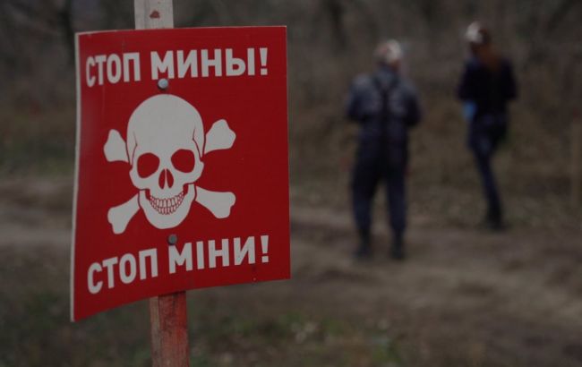 Около трети украинских полей непригодны для посева из-за боевых действий, - ООН