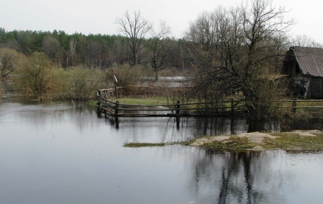 Синоптики попереджають про підйом рівня річок у західних областях