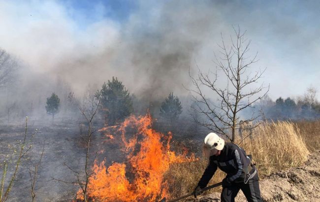 В Киевской области ликвидировали лесной пожар, - ГСЧС