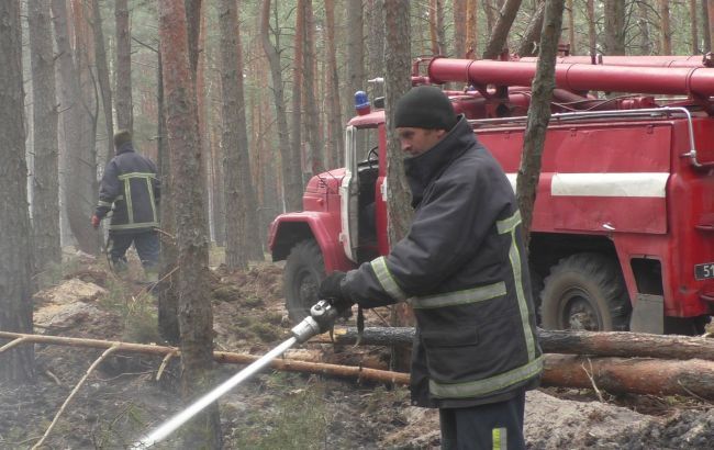 Названа вероятная причина пожаров в Житомирской области