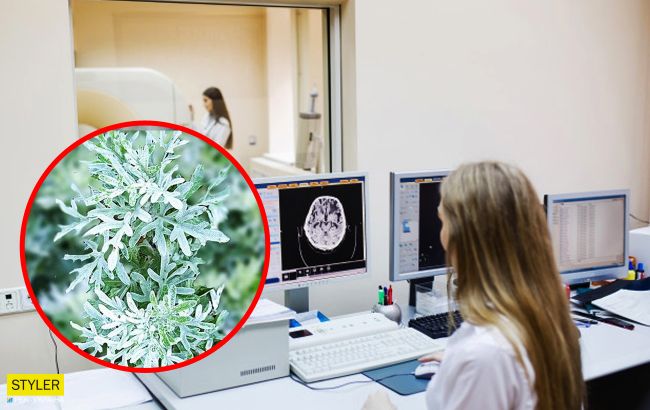 Это растение может убить рак за 16 часов: ученые сделали заявление