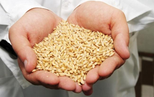 В Україні фактичні обсяги експорту зерна досягли 11,53 млн тонн, - МінАП