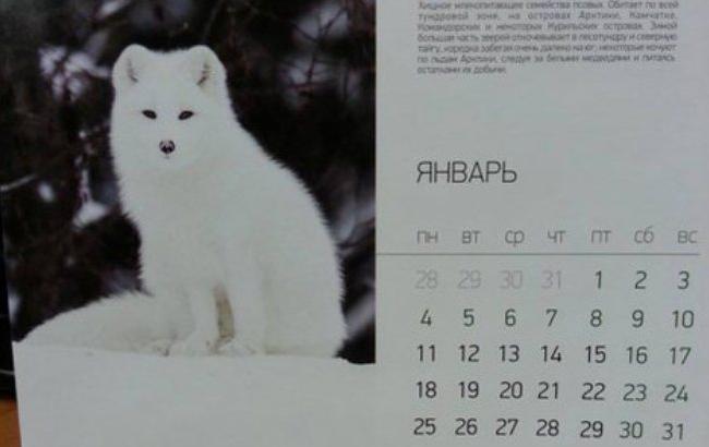 Соцсети повеселил песец на первой странице календаря "Звери России"