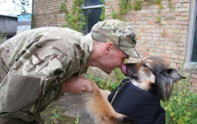 В Украине создали бронежилет для собак