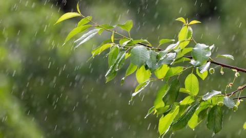 Накриють зливи з грозами: синоптики розповіли про погоду на вихідних