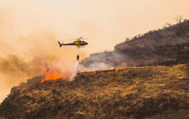 З Канарських островів через лісові пожежі евакуювали 4 тис. осіб