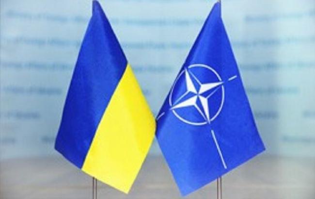 Украина не сможет без НАТО должным образом реформировать сектор безопасности и обороны