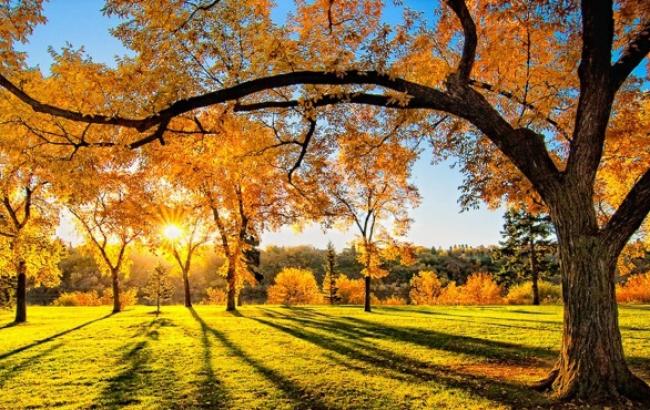 Погода на сегодня: в Украине без осадков, температура до +13