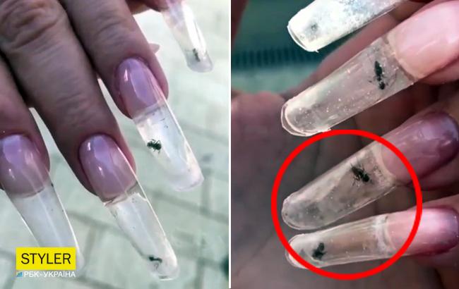 "Больные на всю голову": в сети шокированы маникюром с живыми муравьями в ногтях (видео)