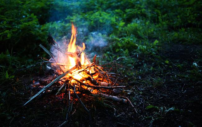 Чрезвычайный уровень пожарной опасности в Киеве сохранится до 26 апреля