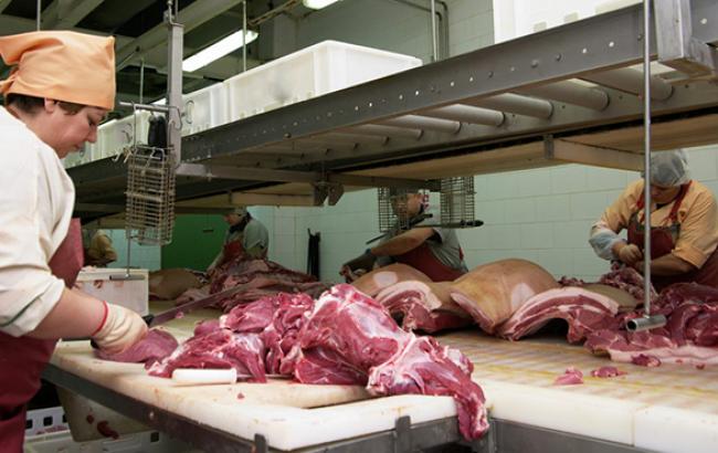 Україна в цьому році експортувала лише 4 тисячі тонн свинини і на 50% скоротила імпорт, - МінАП