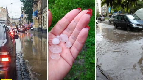 Поваленные деревья и крупный град: во Львове снова бушевала стихия