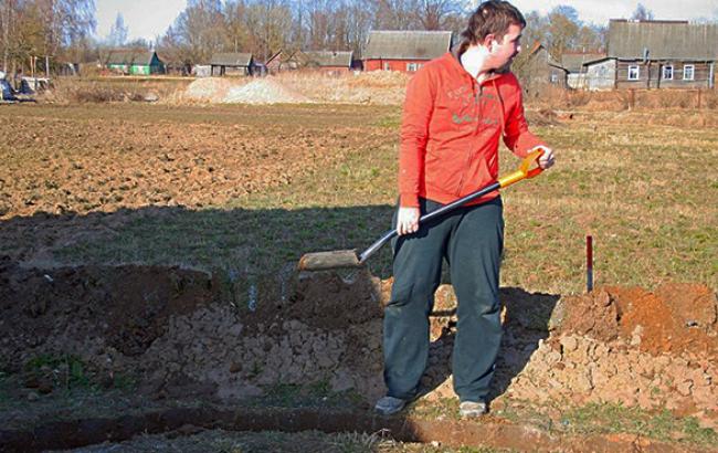 Обсяг земельних торгів в Україні за 10 місяців зріс майже в 3 рази - до 28,7 млн грн, - Держземагентство