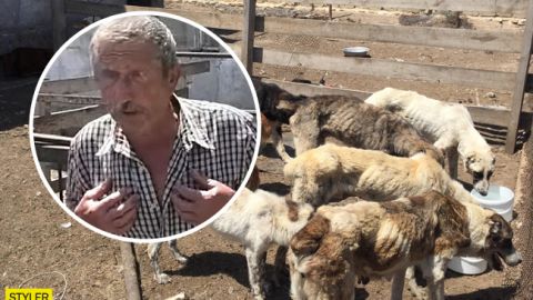 Концтабір для благородних собак: під Одесою виявили шкуродерню