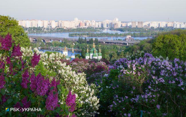 В Киеве начала цвести сирень: где можно полюбоваться красотой