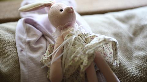 В Ровно ищут насильника двух малолетних девочек