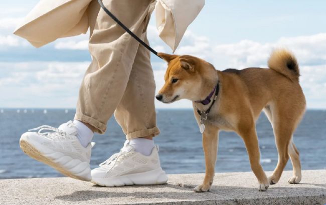 Минимальное количество шагов, которое вы должны проходить ежедневно: об этом мало кто знает
