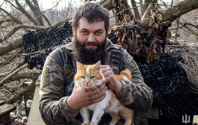 Військові показали "фронтових" котиків. Нічого милішого ви сьогодні точно не побачите