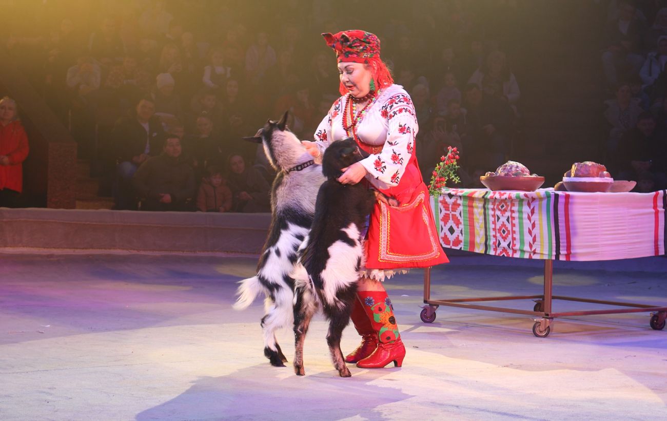Сміх у найважчі часи. Як змінився Національний цирк України під час війни