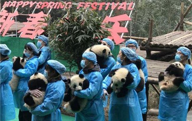 У Китаї люди вийшли на вулицю з пандами на руках