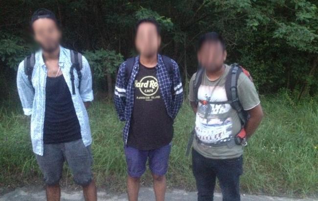 ДПСУ виявила групу нелегалів на кордоні з Польшею