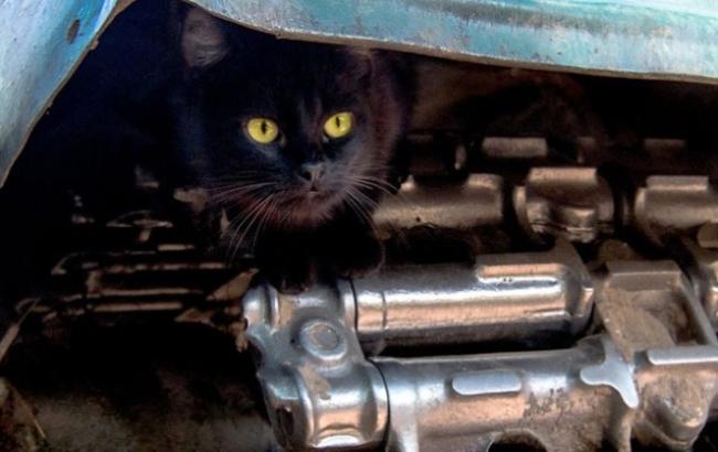 В Днепре открылась выставка военного фотографа-добровольца