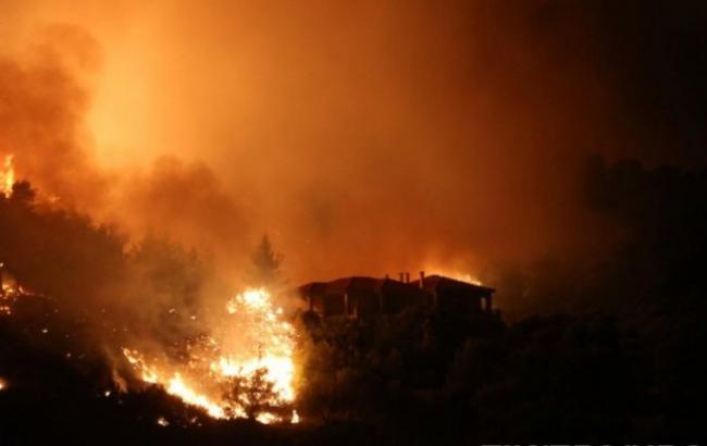 Пожежі у Греції: кількість жертв зросла до 88 людей
