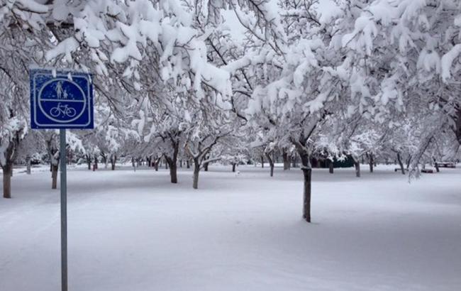 На севере Мексики в связи с обильным снегопадом объявлена тревога