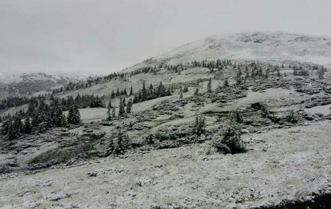 Через сніг в Карпатах за супроводом до рятувальників звернулися 35 туристів, - ДСНС