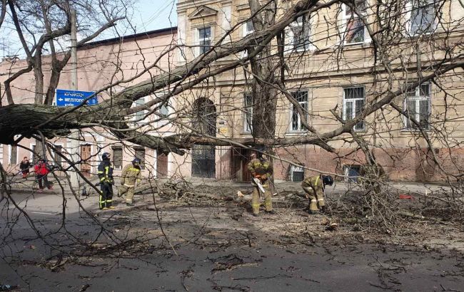 В Одеській області внаслідок негоди знеструмлено 145 населених пунктів
