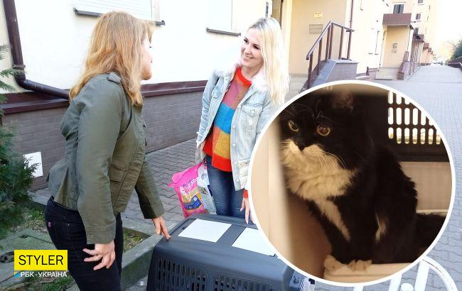 В Польше волонтеры спасли украинского кота: хозяйка ехала за ним тысячу километров