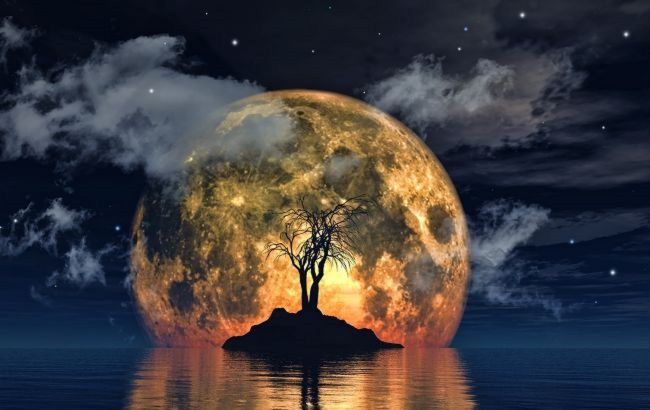 Які знаки Зодіаку знайдуть своє кохання вже днями (ілюстрація: freepik.com)