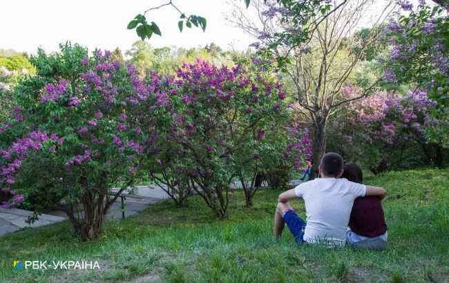 На сході України завтра потепліє до +28, а в центрі будуть грозові дощі