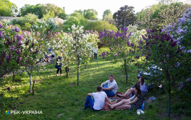 В Украину возвращается жара: прогноз погоды на выходные