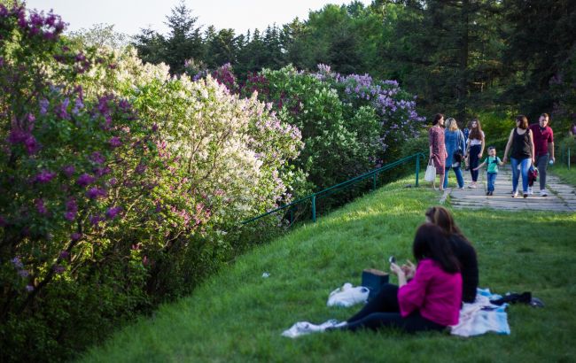 Дощі місцями зі снігом та грозами, а також сильний вітер: прогноз погоди на вихідні