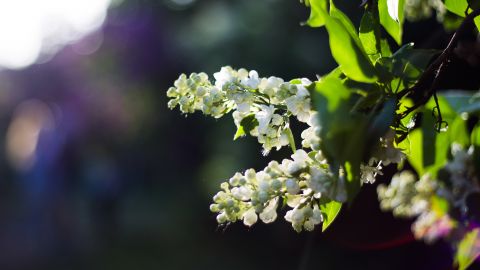Дощі відійшли, але похолодало: прогноз погоди на сьогодні