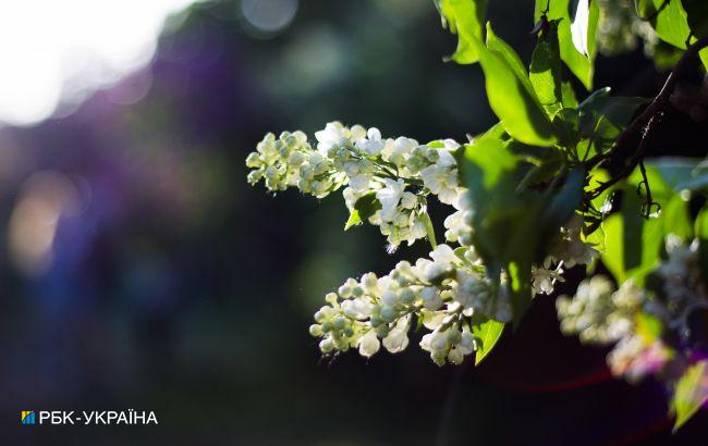 С заморозками ночью, но солнечно днем: прогноз погоды на завтра
