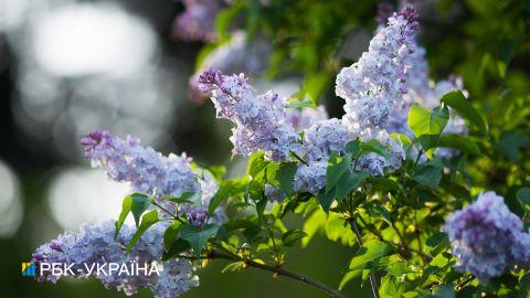Дожди отошли и потеплело: прогноз погоды на сегодня