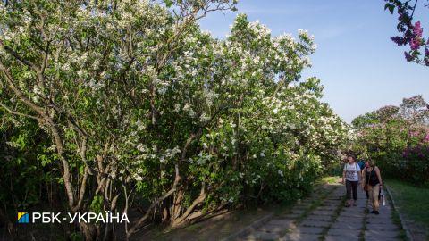 Климатологи зафиксировали приход в Киев метеорологического лета