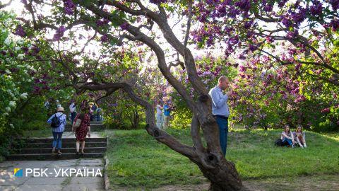 Потеплеет и отойдут дожди: прогноз погоды на сегодня