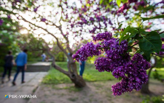 Сонячно та дощ на Закарпатті: прогноз погоди на сьогодні
